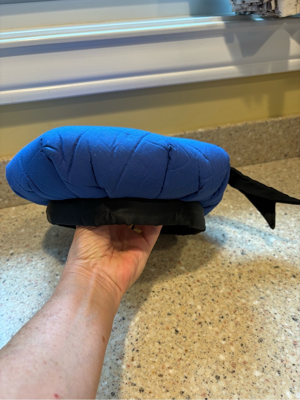 Donald Duck Sailor Hat for Adults